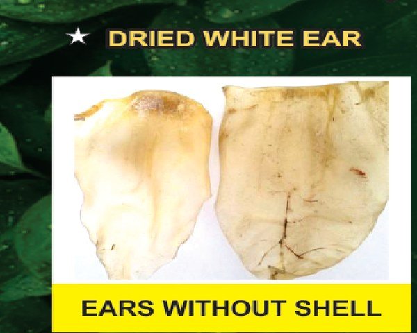 All Ear Variants