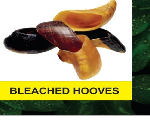 Bleached Hooves