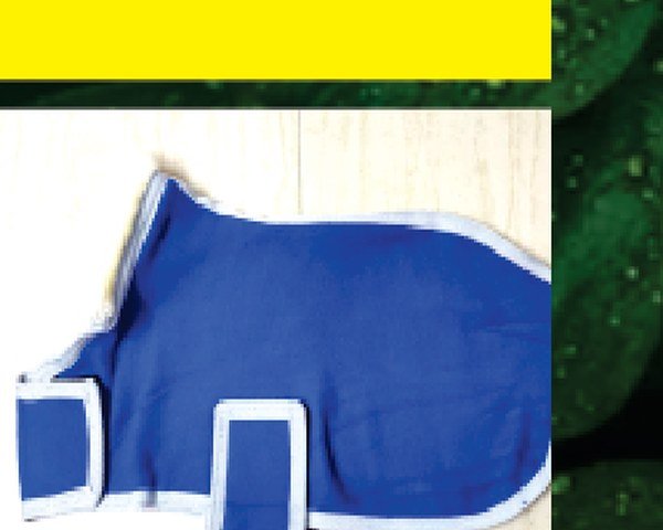 Dog Jacket