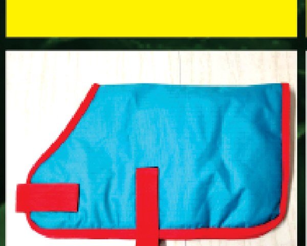 Dog Coat / Blanket