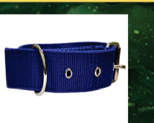 Nylon Collar