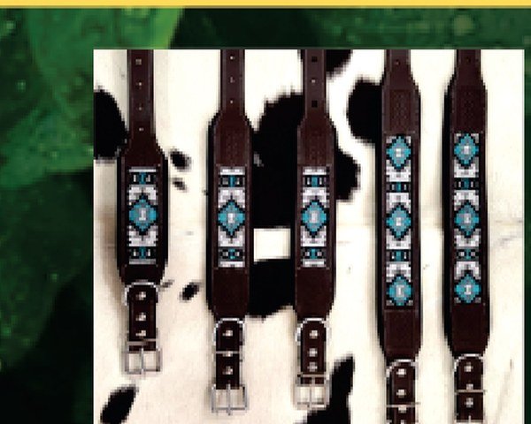 Designer Collars