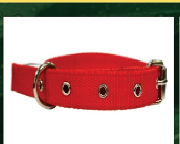 Leather Collar
