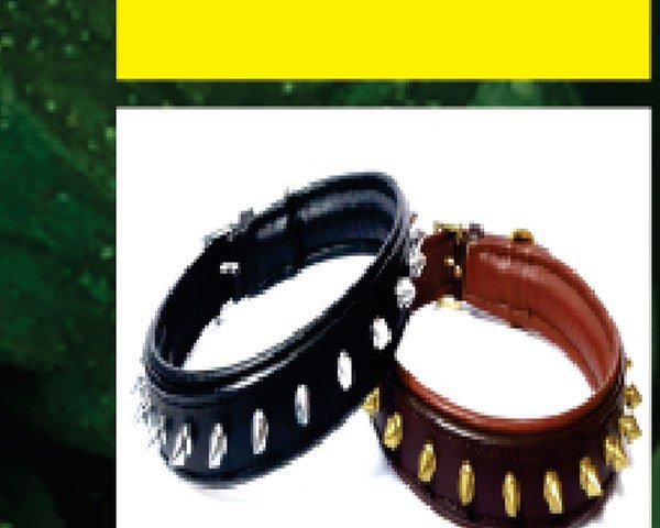 Spiked Collar