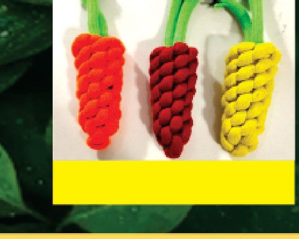Carrot Shape Toys