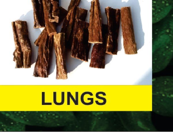 Dried Lungs