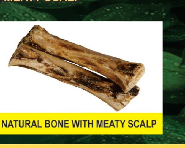 Natural Bone
