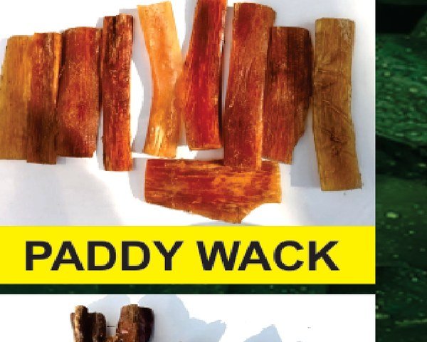Paddy Wack